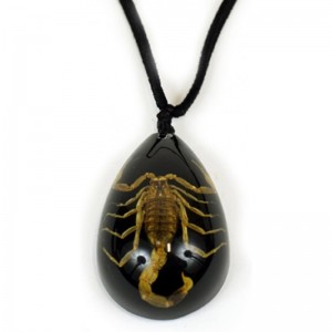 Gold Scorpion Necklace Black Leather $17.95 Kids' Dress-Up Accessories