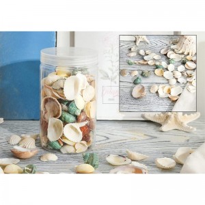 80~85pcs Sea Shells Mixed Beach Seashells for Beach Theme Party Wedding Decorations DIY Crafts Candle Making Fish Tank Vase F...