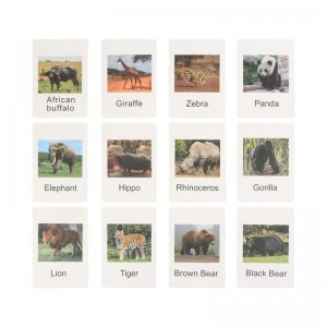 Montessori Animal Match Game Cards Marine Animal Matching Montessori Language Materials Toddlers Preschool Educational Learni...