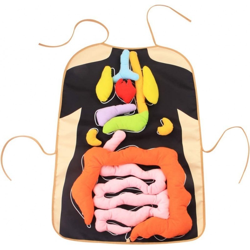 3D Organ Apron Anatomy Apron Human Body Organs Awareness Educational Toy for Home Preschool Teaching Aid Black $39.41 Educati... 3D Organ Apron Anatomy Apron Human Body Organs Awareness Educational Toy for Home Preschool Teaching Aid Black $39.41 Educati...