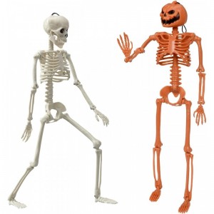 2Pcs Posable Halloween Skeletons 15'' Full Body Skeleton with Movable Joints for Halloween Props Decoration $27.72 Gags & Pra...