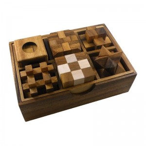 6 Wooden Puzzle Gift Set in A Wood Box - 3D Unique IQ Puzzles $52.30 Brain Teaser Puzzles