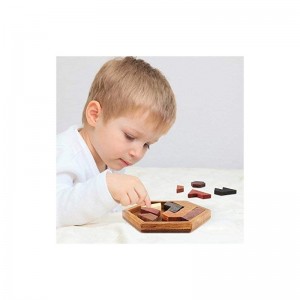 Hexagon Tangram Puzzle Wooden Puzzle for Children and Adults Challenging Puzzles Wooden Brain Teasers Puzzle for Adults Puzzl...