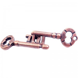 Traditional Brain Teaser Classical Puzzle Magic Toy (Keys) $15.64 Brain Teaser Puzzles