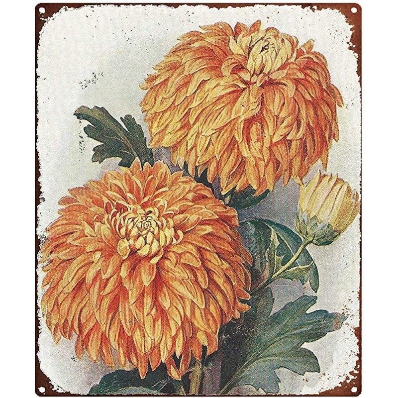 1930s Botanical Original Vintage Print – Puzzles Jigsaw Puzzles for Adults 1000 Piece Puzzles for Adults Toys Gift Family Dec...