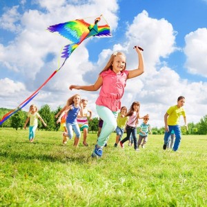 Kite Kites for Kids Easy to Fly Parrot Kite for Children and Adults Comes with 2 Ribbons and 320 feet of Kite String $32.48 K...