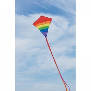 Rainbow 27 Inch Diamond Kite - Single Line - Ripstop Fabric - Includes Kite Line and Bag - Great Beginner Kite $27.35 Kites &...