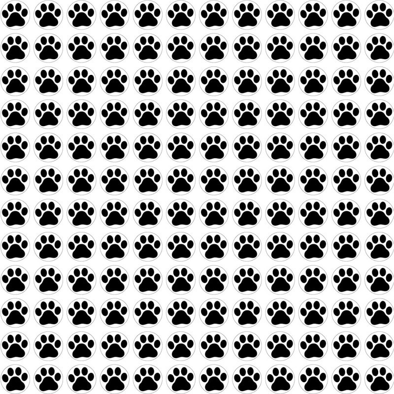 Pack of 3000 Dog Paw Print Stickers Small Mini Animal Paw Print Nail Stickers Value Pack for Water Bottles Kids Classroom Rew...