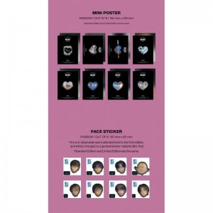 Stray Kids - MAXIDENT Standard Edition (Heart ver.) $50.70 Kids' Stickers