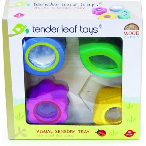 Sensory Trays - Baby Blocks Shape Sorter STEM Learning Shape Identification Sorting Game Toy for Kids 18 Month + (Visual Sens...