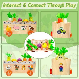 Montessori Wooden Toys for Toddler Educational Toys Shape Sorting Toys with Farm Animals & Carrot Harvest Game Stacking Toys ...
