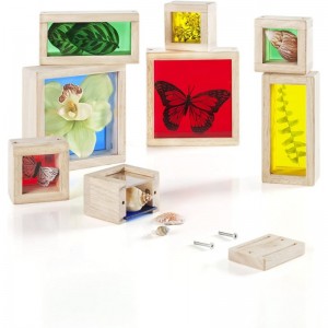 Treasure Blocks - Primary: Smooth Wooden Observation Stacking Blocks with Transparent Windows Educational Toy for Kids $83.45...