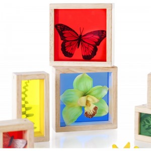 Treasure Blocks - Primary: Smooth Wooden Observation Stacking Blocks with Transparent Windows Educational Toy for Kids $83.45...