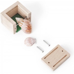 Treasure Blocks - Primary: Smooth Wooden Observation Stacking Blocks with Transparent Windows Educational Toy for Kids $83.45...