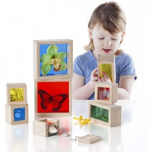 Treasure Blocks - Primary: Smooth Wooden Observation Stacking Blocks with Transparent Windows Educational Toy for Kids $83.45...