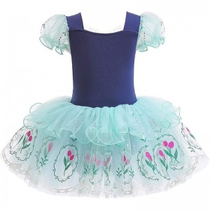 Baby Girls Princess Ballet Dress Short Sleeve Leotards Skirted Tutu Dancewear Halloween Christmas Party Fancy Costume $43.66 ...