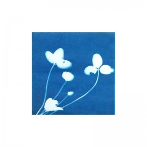 Paper Kit $25.38 Kids' Drawing & Writing Boards
